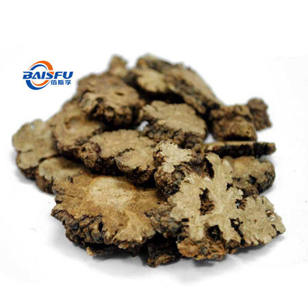 baisfu plant brown powder Specification 98% Professionally Manufacture And Supply Rhizoma Chuanxiong Extract