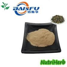 Baisfu plant extract powder 90% light yellow powder Best selling  supply Gynostemma tea used in food additive