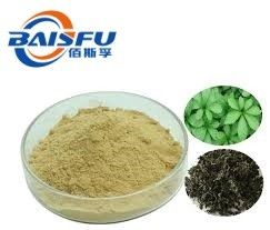 Baisfu plant extract powder 90% light yellow powder Best selling  supply Gynostemma tea used in food additive