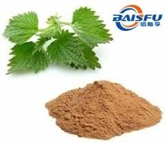 Baisfu plant Specifications 98% Nettle root extract Hot Selling - Get Your Favorite Price Here With Low MOQ