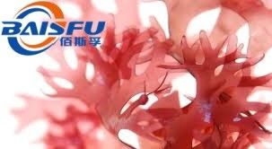 Baisfupure plant extract powder Algae Haematococcus pluvialis powder used in food additive