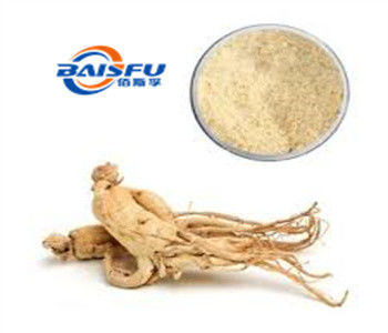 Shaanxi Baisfu herbal plant extract Yellow brown fine powder NaturaGinsenosides 80% UV Panax ginseng extract