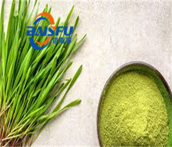 Shaanxi Baisfu herbal plant extract Green fine powder NaturaBarley Grass Powder For DIy drinking