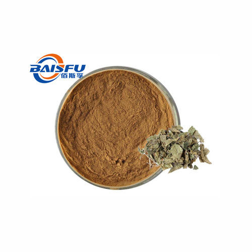 baisfu brown powder 90% Pure high quality Mulberry Leaf Extract Powder