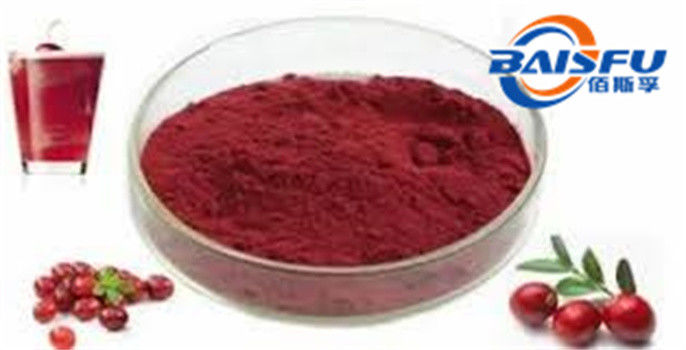 Shaanxi Baisfu plant extract Purple Red powder Oligomeric Proantho Cyanidins CAS No.: 84929-27-1 Food Grade