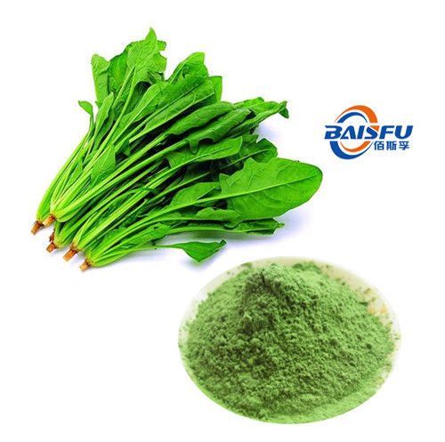 Baisfu Yellow-Green Fine Powder Hot Selling High Quality Spinach Extractspinach Extract Powder Specification 5:1 10:1