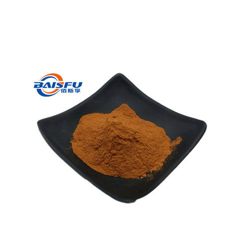 Baisfu Brown Powder Best Grifola Frondosus P.E Hot Selling CAS No.: 37339-90-5