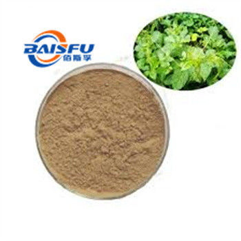 Shaanxi Baisfu plant extract Brown powder 98% Through 80 mesh Gynostemma pentaphyllum extract Food Grade