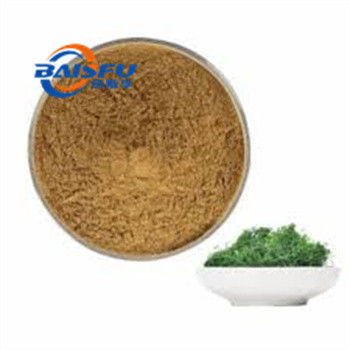 Shaanxi Baisfu plant extract Brown powder 98% Through 80 mesh Gynostemma pentaphyllum extract Food Grade