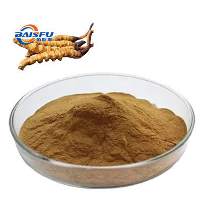 baisfu Brown yellow fine powder Hot Sale Russia Top Quality Cordyceps Militaris Powder CAS No.: 73-03-0