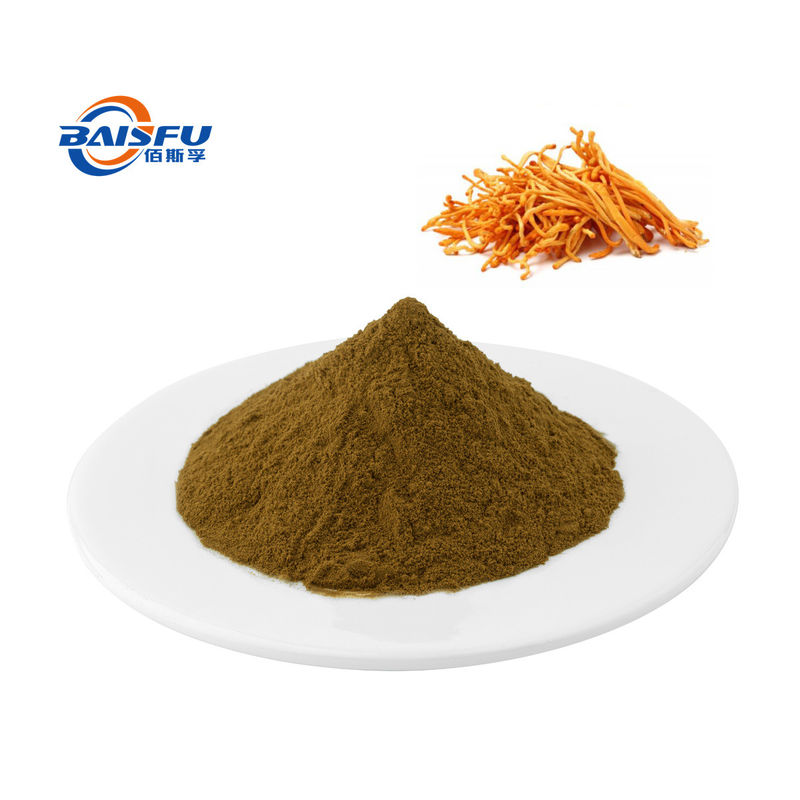 baisfu Brown yellow fine powder Hot Sale Russia Top Quality Cordyceps Militaris Powder CAS No.: 73-03-0