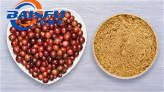 Baisfu herbal plant extract Brown fine powder Camu powder 100% pass 80 mesh UV TLC Food Grade For Food