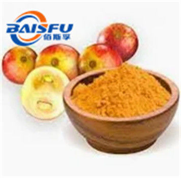 Baisfu herbal plant extract Brown fine powder Camu powder 100% pass 80 mesh UV TLC Food Grade For Food