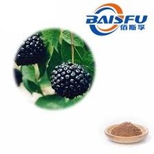 Baisfu herbal plant extract Brown fine powder Siberian Ginseng P.E 100% pass 80 mesh UV TLC Food Grade For Food