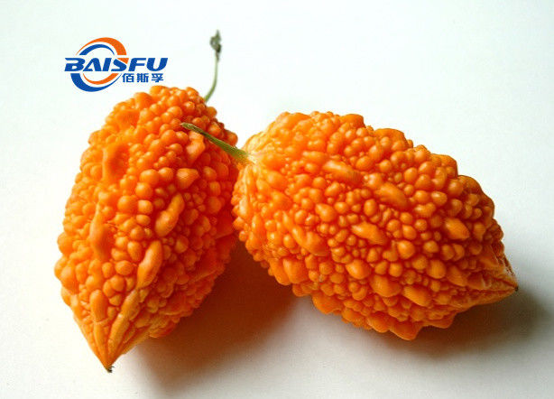 Baisfu Brown Powder Top Quality Cochinchina Momordica. P.E Extract Ratio 10:1
