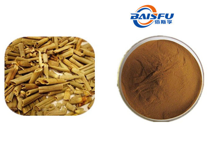 Baisfu Brown Yellow Powder Natural Common Scouring Rush Herb.P.E Extract Ratio 10:1