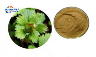 Baisfu Brown Yellow Powder Top Quality Chinese Cinquefoil Herb.P.E Specifications 4:1 6:1