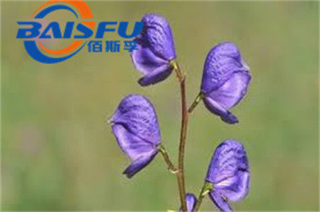 Shaanxi Baisfu plant extract White Powder Lappaconitine hydrobromide CAS No.: 97792-45-5 Food Grade