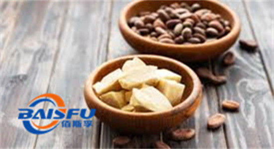 Shaanxi Baisfu plant extract Light golden yellow solid Cocoa Butter Food Grade