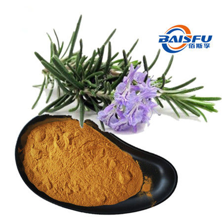 Baisfu Brown Powder GMP Manufacturer Offer Rosmarinicacid 98% Rosmarinicacid CAS NO.20283-92-5