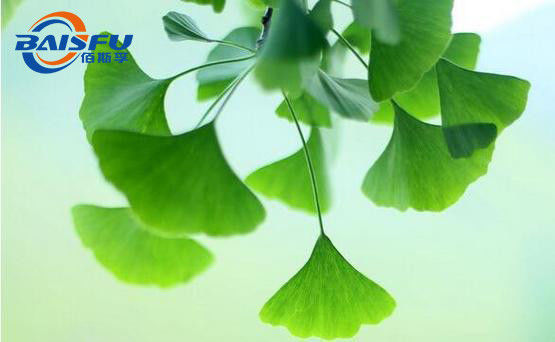 Baisfu White Powder GMP Manufacturer Top Grade Sciadopitysin, High Quality Sciadopitysin, CAS. 521-34-6