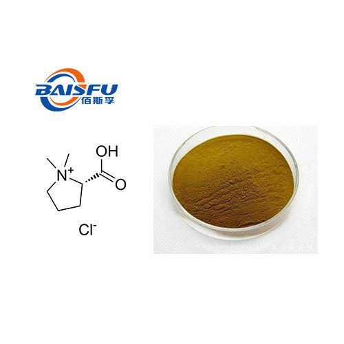 Baisfu Brown White Powder Natural Motherwort  Leonurus Extract 98% Stachydrine Hydrochloride CAS NO.4136-37-2