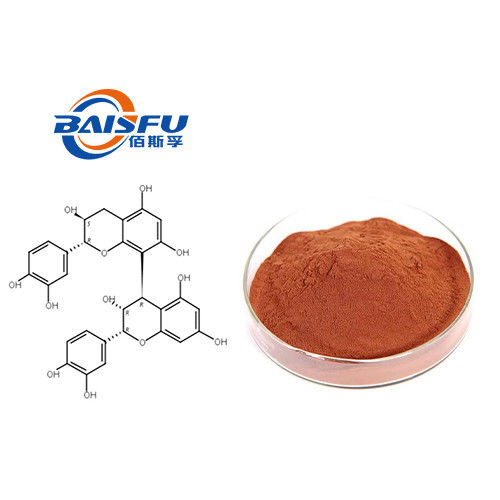 Baisfu Red Brown Powder Natural High Quality ProanthocyanidinProcyanidin B1 CAS NO. 20315-25-7
