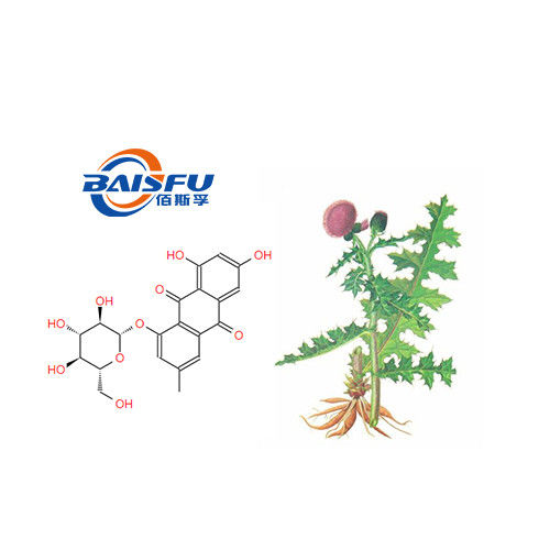 Baisfu White Powder GMP Manufacturer Offer Pure Natural Organic Pectolinarin  CAS NO.28978-02-1