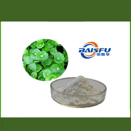 Baisfu White Powder GMP Manufacturer Offer Pure Natural Organic Asiatic Acid 98% Asiatic Acid CAS NO.464-92-6