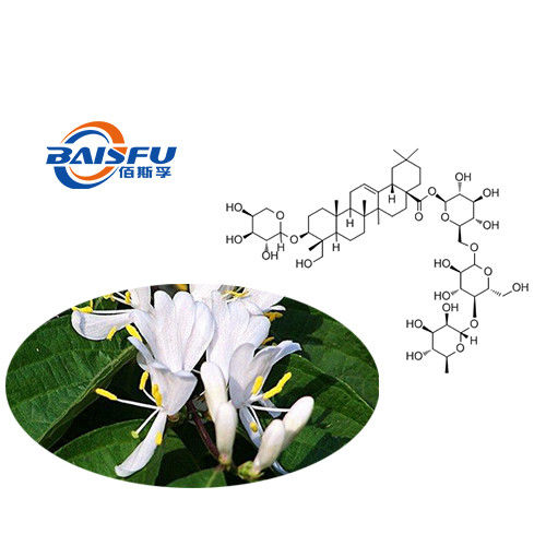 Baisfu White Powder GMP Manufacturer Offer Pure Natural Organic Hederacoside D 98% Hederacoside D CAS 760961-03-3