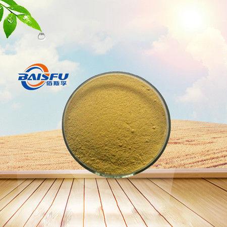 Baisfu Brown Powder GMP Manufacturer Offer Pure Natural Organic Hederagenin 98% Hederagenin Hederagenin CAS 465-99-6