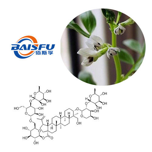 Baisfu White Powder Pure Natural Organic Anemoside B4 98% Anemoside B4 High Quality Anemoside B4 CAS NO.129741-57-7