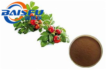 Shaanxi Baisfu plant extract Brown to dark brown powder 100% Natural Rose Hips Extract