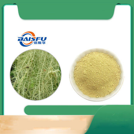 Baisfu Yellow Powder ISO Manufacturer Supply Natural Organic Usinic Acid 98% Usinic Acid CAS NO.125-46-2