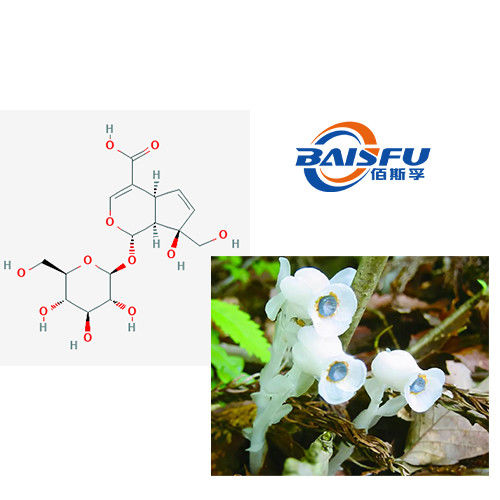 Baisfu White Powder Pure Natural Organic Monotropein 98% Monotropein High Quality Monotropein CAS NO.5945-50-6