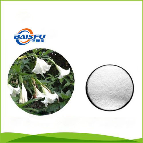 Baisfu White Fine Powder Natural High Quality Scopolamine Hydrobromide Hot Selling CAS NO.114-49-8
