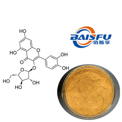 Baisfu Yellow Powder GMP Manufactory Offer Pure Natural Organic Avicularin 98% Avicularin CAS NO.572-30-5