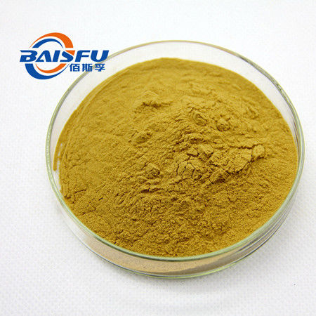 Baisfu Light Brown Powder Health Protect Supply Reasonable Price 98% 8-Gingerol CAS NO.23513-08-8