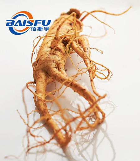 Baisfu Chinese Supplier White Powder Natural High Quality 98% Ginsenoside Rh3,CAS105558-26-7