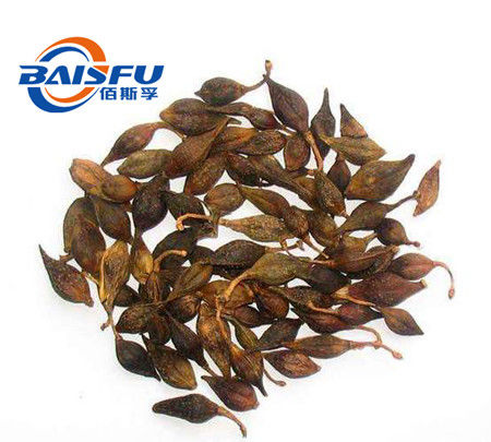 Baisfu High Quality White Powder Forsythoside E, Hot Sell 98% Forsythoside E CAS. 93675-88-8