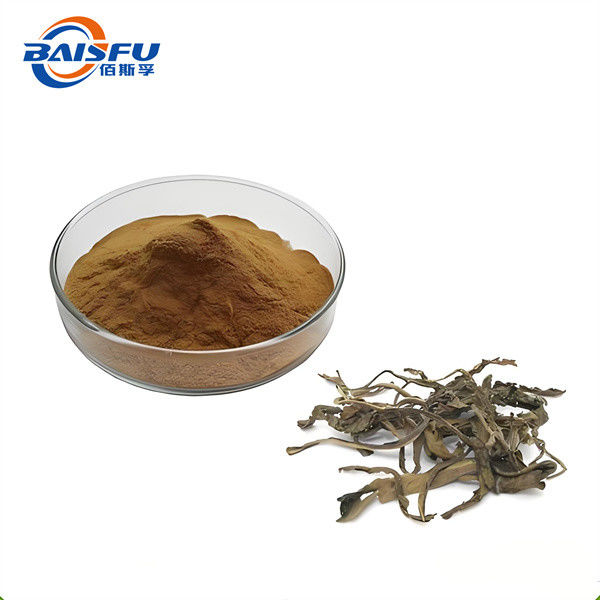 Baisfu Supply Hot Sale Natural Indigowoad Leaf Extract Folium Isatidis P.E.
