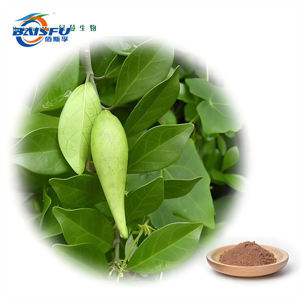Natural Gymnemasylvestre Powder for Medical Purposes Cold Temperature Storage