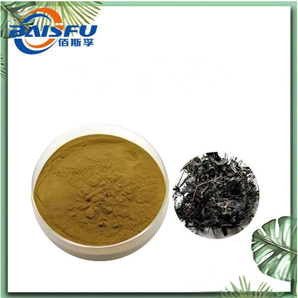 Pure Plant Extract Gynostemma Plant Extract Cosmetic Raw Material 1kg 25kg Yellowish Powder Gynostemma Leaf  Gynostemma CAS NO.15588-68-8 
 for nutritional supplement