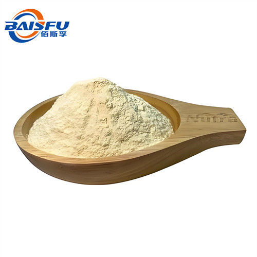 High Quality Freeze Dried Broccoli Powder/ Broccoli Extract /Freeze Dried Broccoli Powder