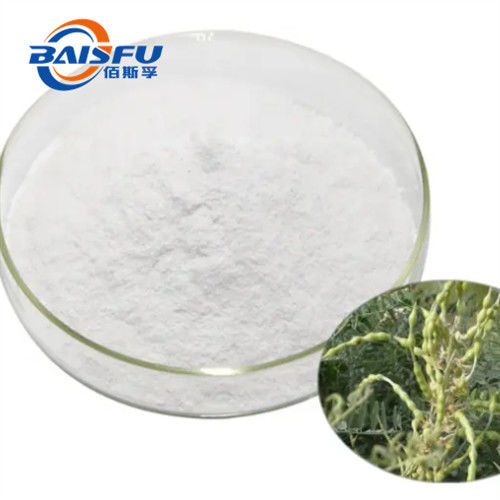 100% Natural Sophora Alopecuroides Extract/Sophoridine 98%/SOP Aloperine/Antitumor Plant Extract