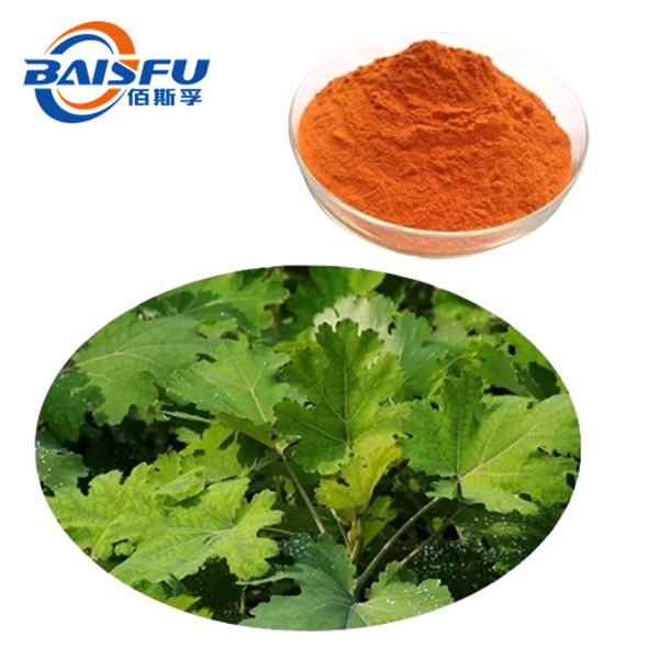 Popular In The Field Of Medicine, Meadopod Extract With A Purity Of 1%/1.5%/10% SanguinarineCAS.2447-54-3