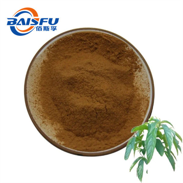 BAISFU Glossy Privet For Medicine, Cosmetics, Food And Beverage. Fruit Extract Popular In Europe And AmericaCAS:138-59-0
