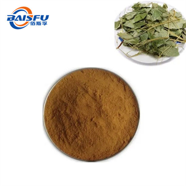 Herba Pyrolae Extract For Clearing Heat Antibacterial And Anti-Inflammatory Powder