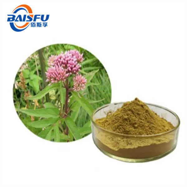 Herba Pyrolae Extract For Clearing Heat Antibacterial And Anti-Inflammatory Powder