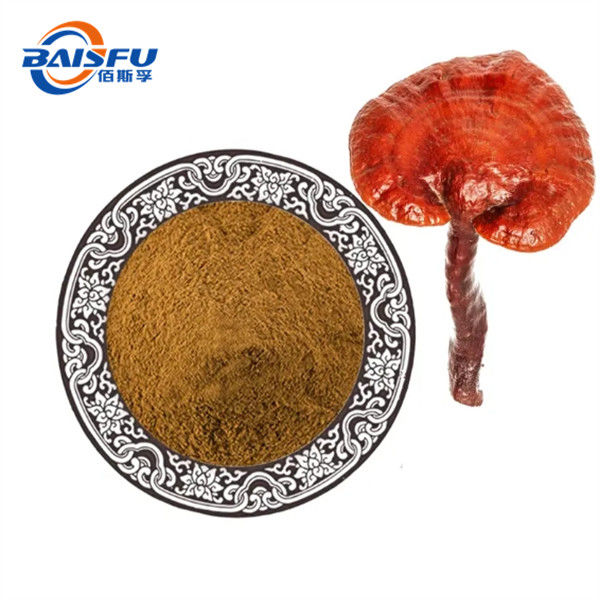 Reishi Mushroom Extract Of High Quality Traditional Chinese Medicine Widely Used In The Field Of Medicine